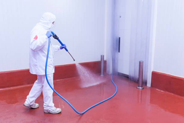 Best Boat and Dock Cleaning  in Santa Ana, CA